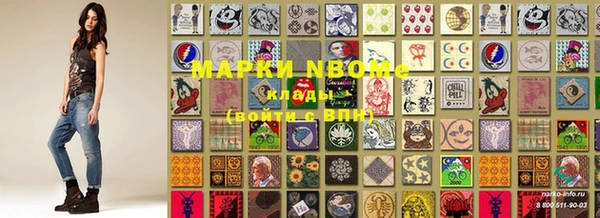 гидропоника Алзамай