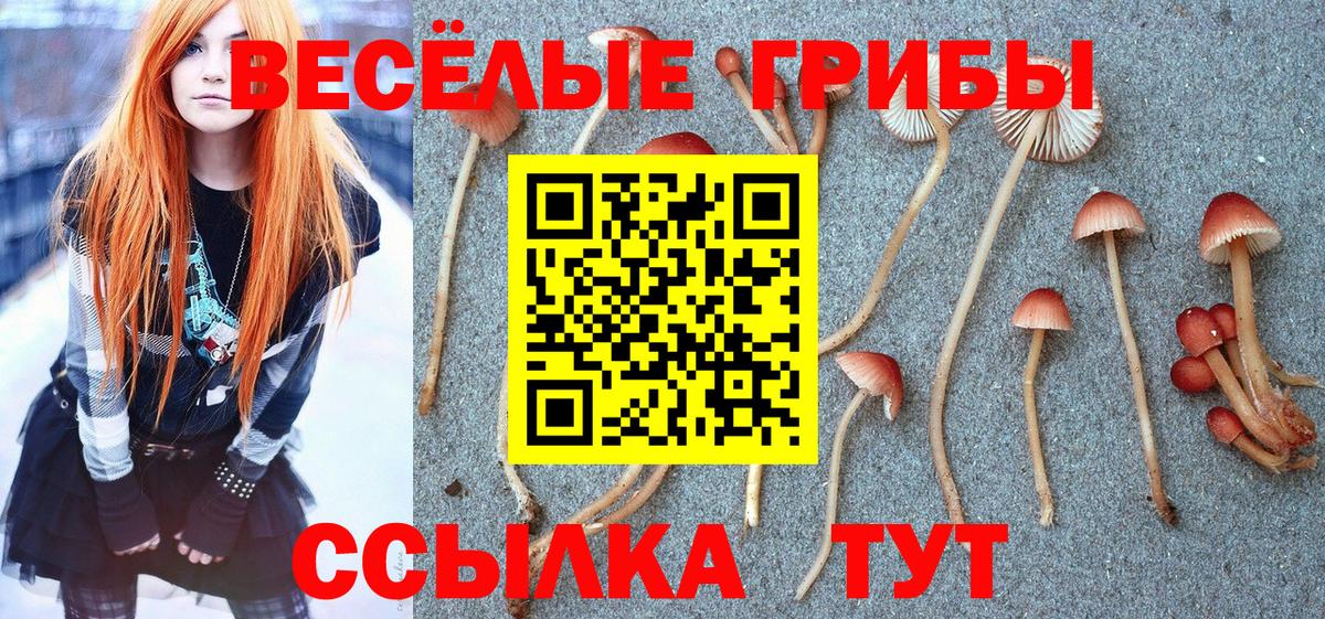 Псилоцибиновые грибы мицелий Минусинск