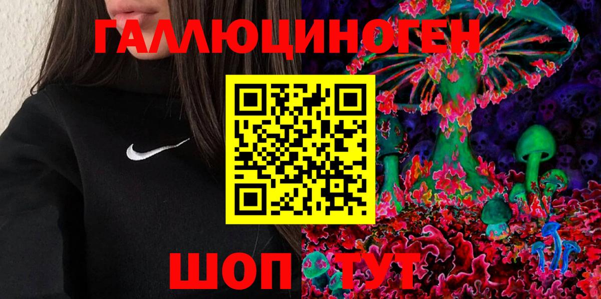 Минусинск  Псилоцибиновые грибы MAGIC MUSHROOMS  Вход с VPN 